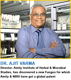 Dr. Ajit Varma, Director, Amity Institute of Herbal & Microbial Studies