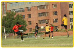 Sports Facilities