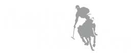Amity Polo Cup Logo