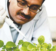 Research Lab