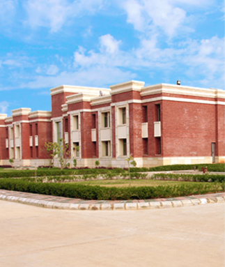 Amity University