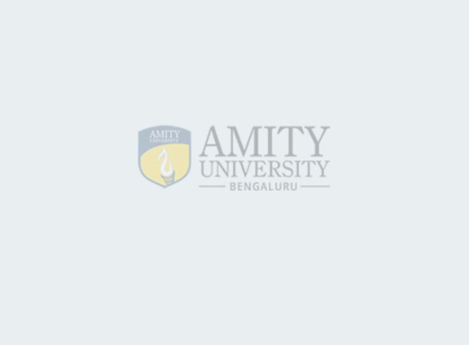 about amity academia