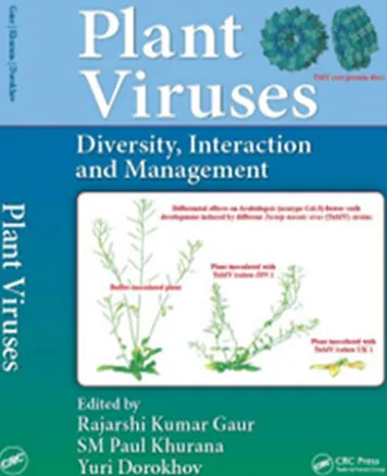 Research & Publications