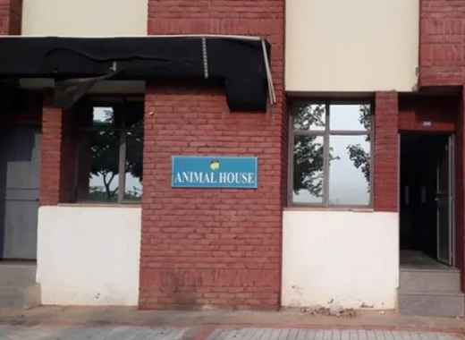animal-house-img