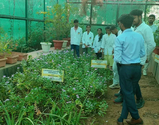 medicinal-plant-garden-img