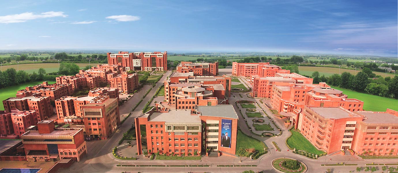 [NEW] Amity University Placement 2024 Package Offered