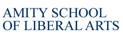 Amity School of Liberal Arts