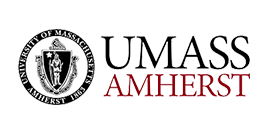 Partner logo 26 representing a collaboration with Amity University Punjab