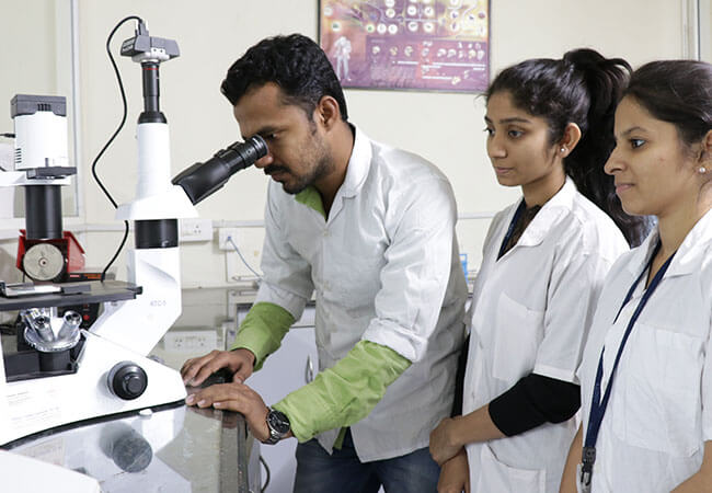 biochemistry-enzymology-img