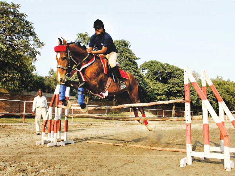 Portfolio Image