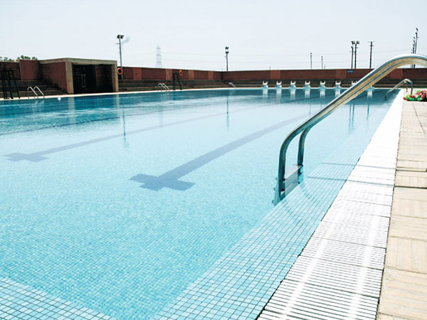 Olympic Size Swimming Pool